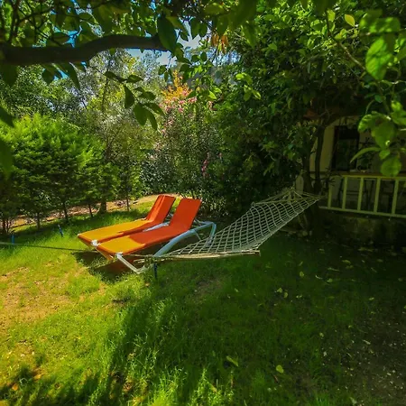 Villa Zeytin Чирали Экстерьер фото