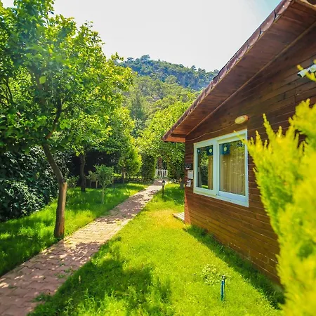 Villa Zeytin Чирали Экстерьер фото
