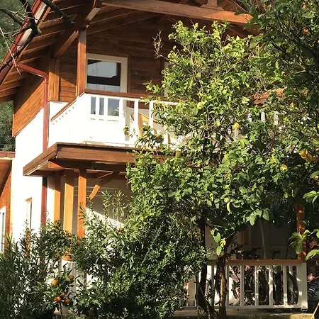 Villa Zeytin Чирали Экстерьер фото