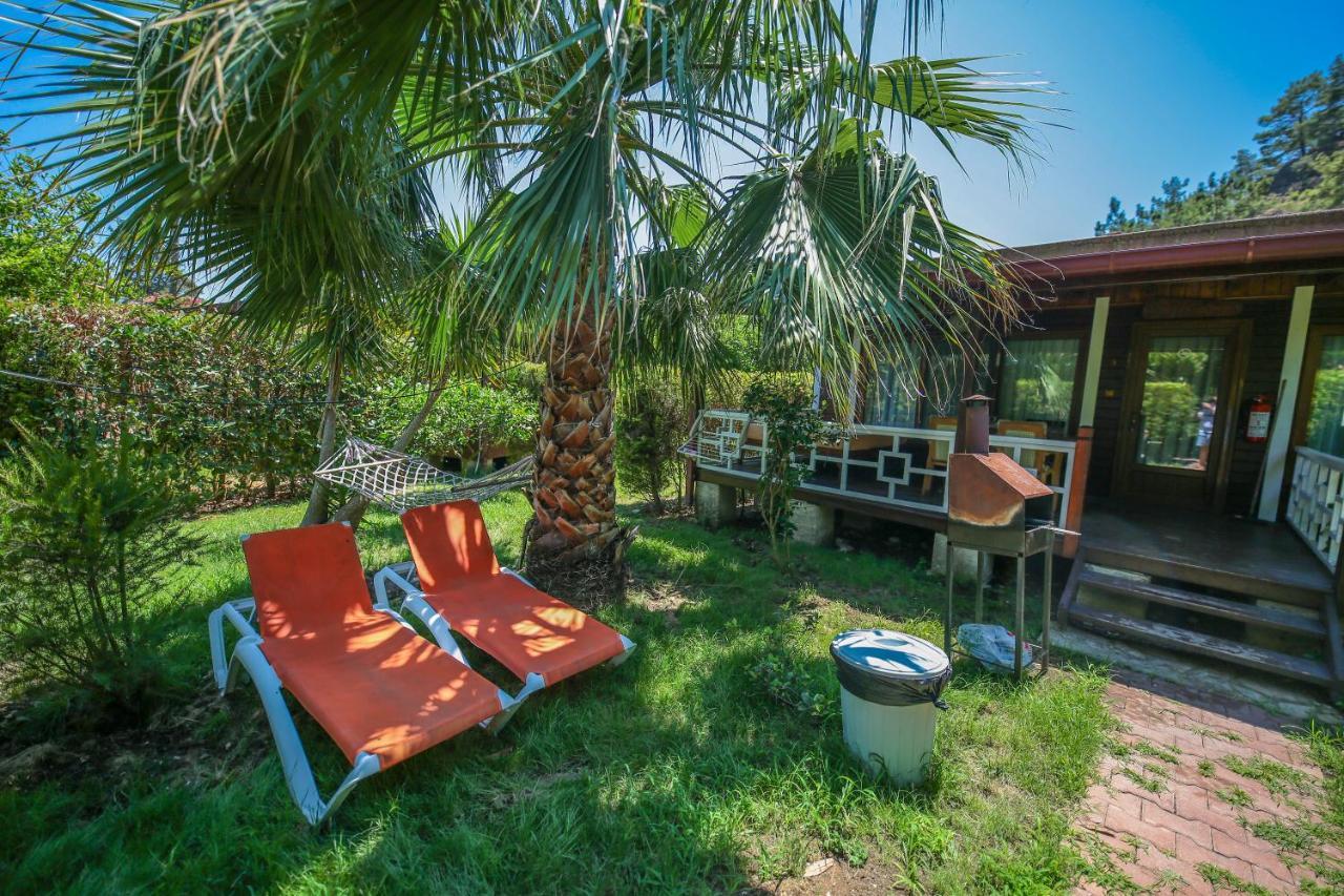 Zeytin Village de vacances Çıralı