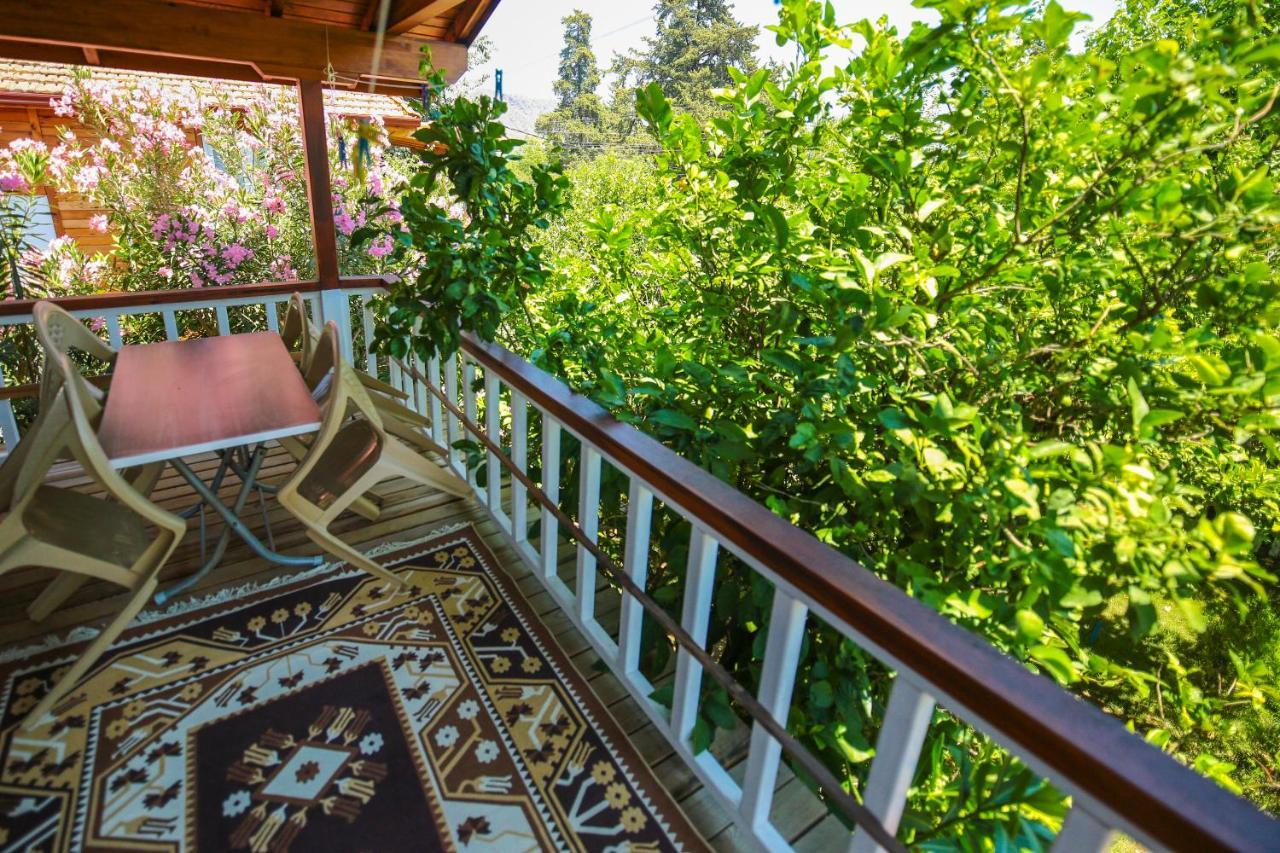 Village de vacances Zeytin