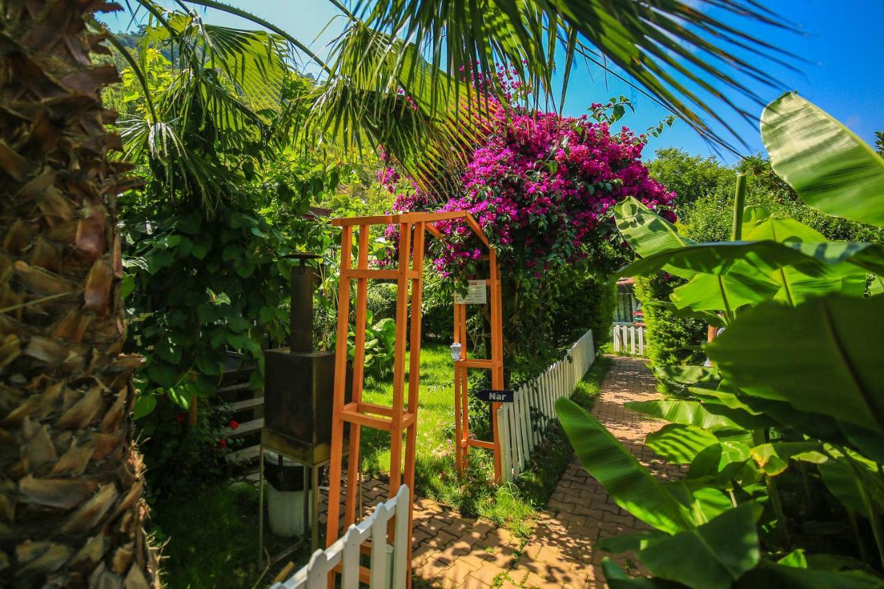 Zeytin Village de vacances *