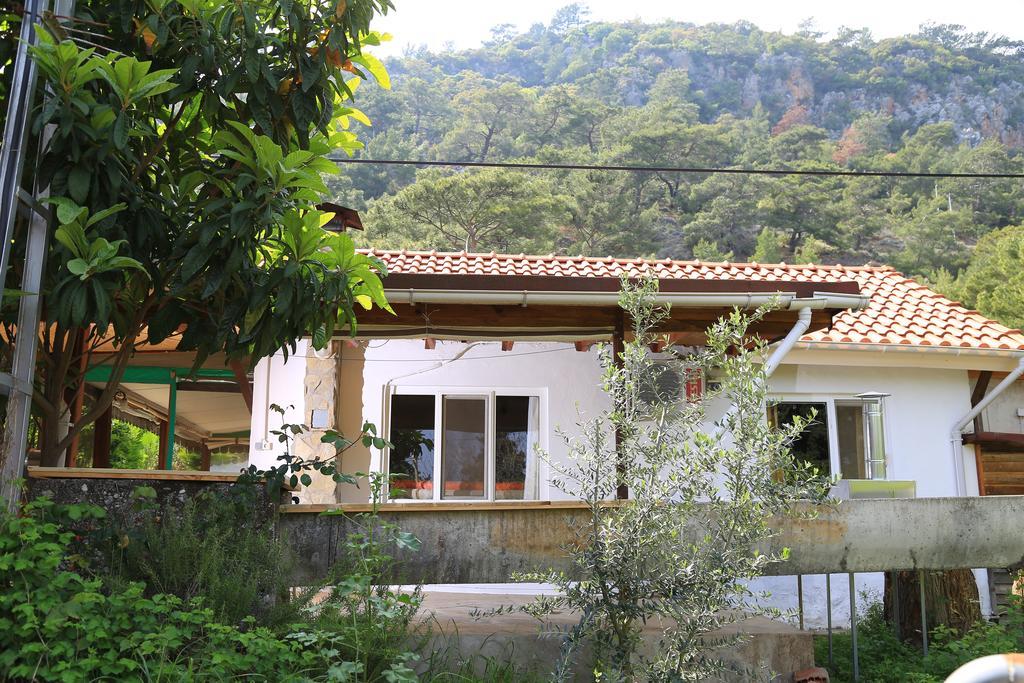 Village de vacances Zeytin