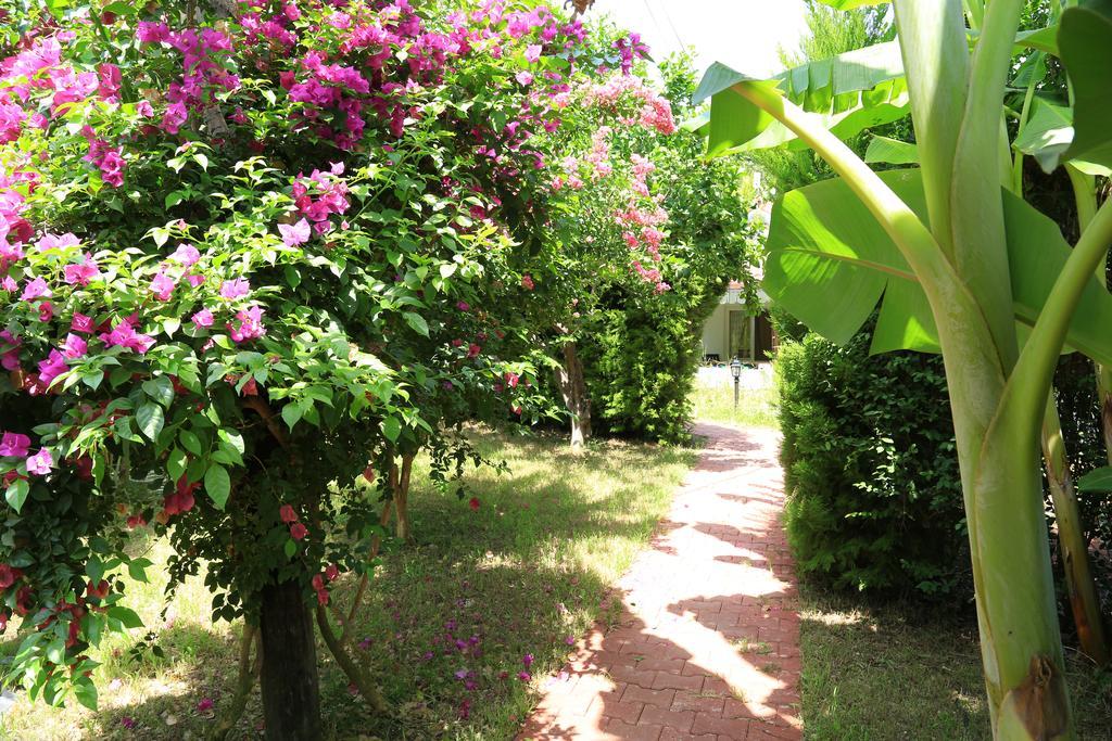 Zeytin Village de vacances Çıralı