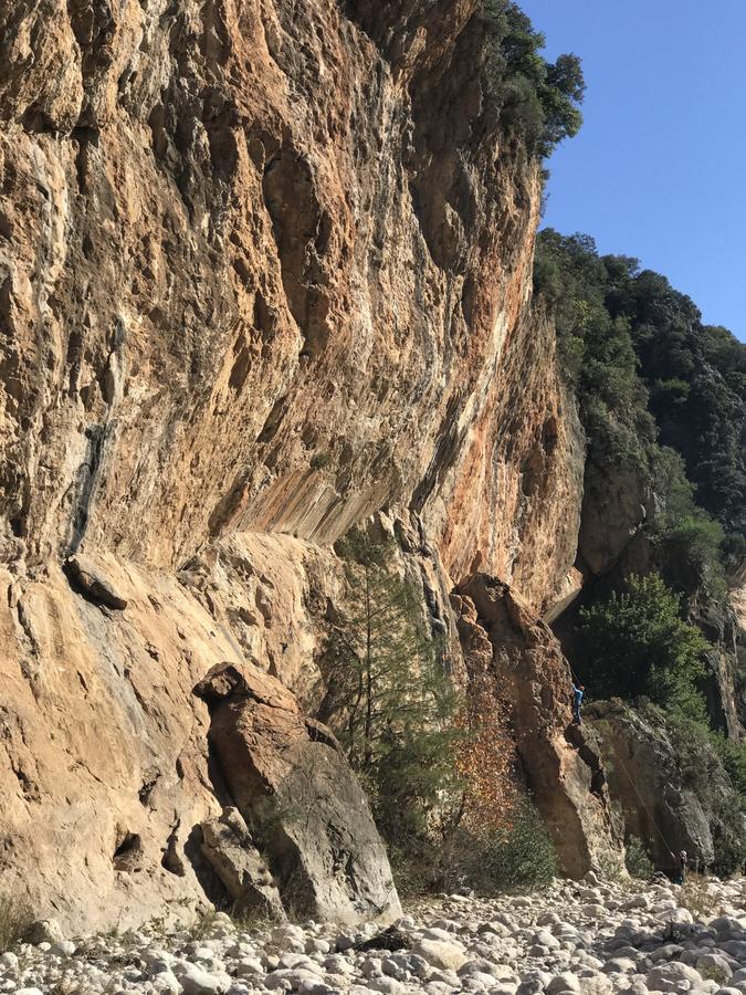 Village de vacances Zeytin Çıralı